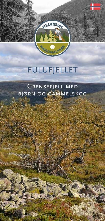 Appartement 15 - Fulufjellets Nasjonalparker - Natur-, Dyre- Og Fugleopplevelser *