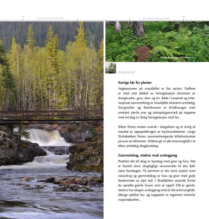 Appartement 15 - Fulufjellets Nasjonalparker - Natur-, Dyre- Og Fugleopplevelser Ljordalen