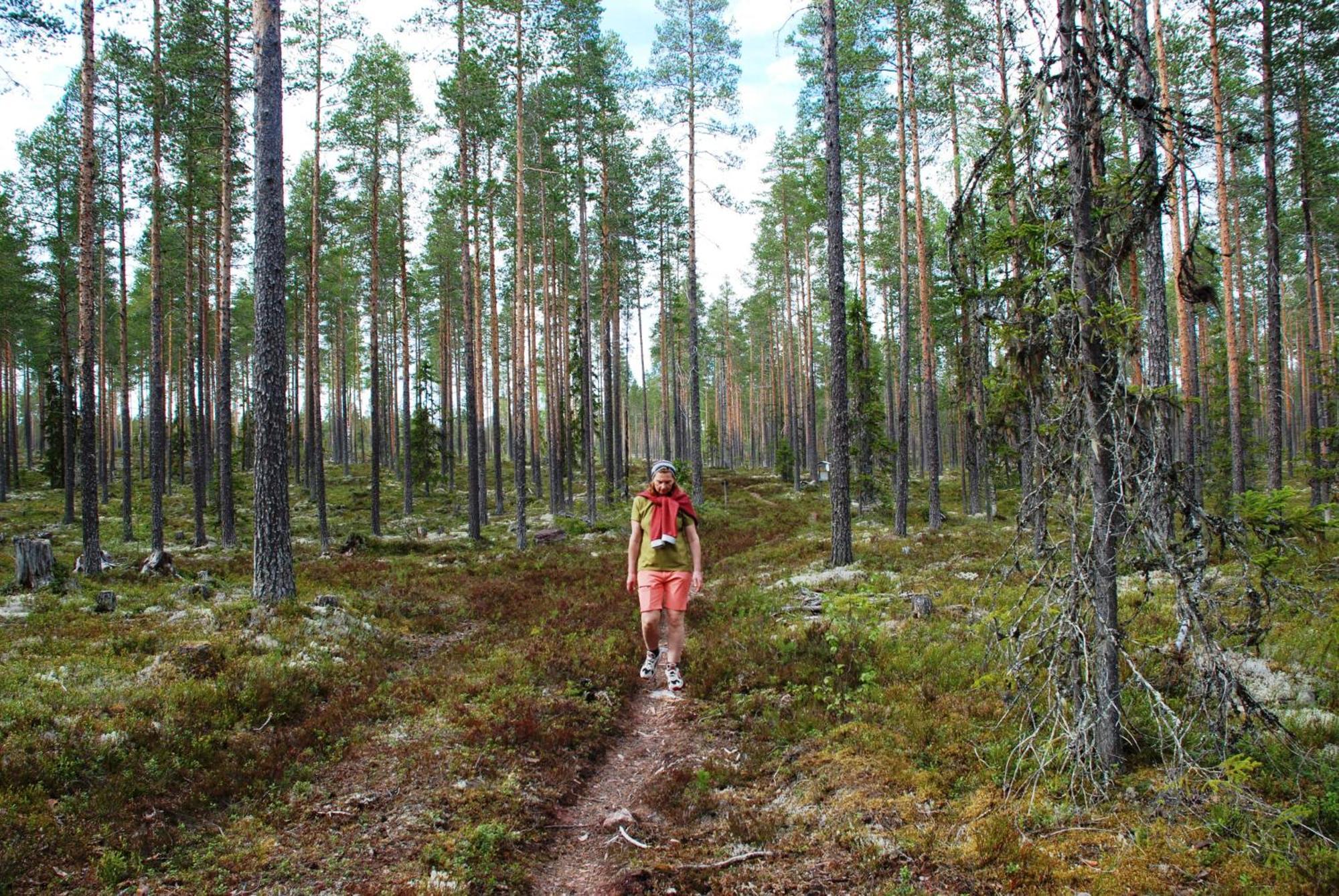 15 - Fulufjellets Nasjonalparker - Natur-, Dyre- Og Fugleopplevelser *