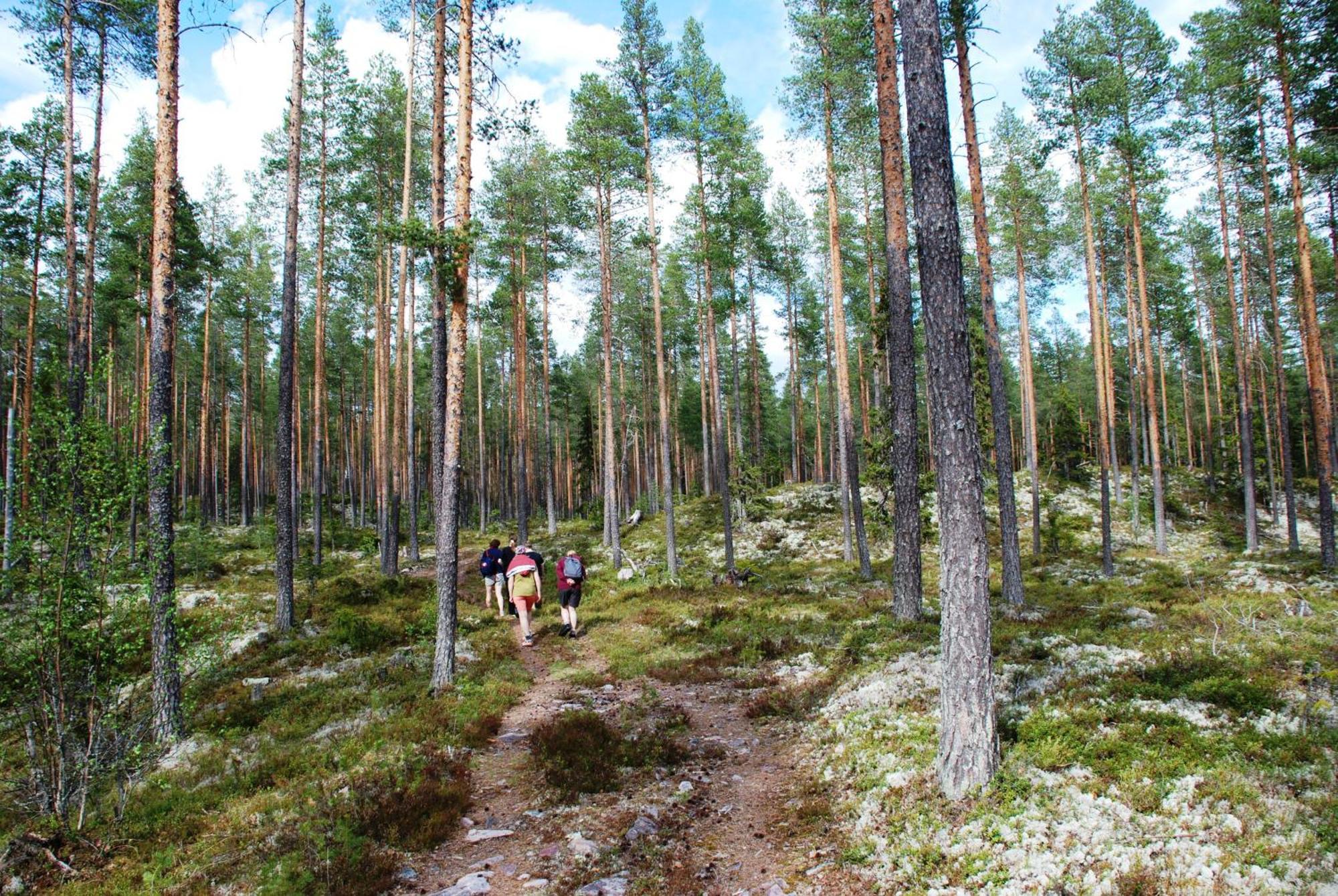 Appartement 15 - Fulufjellets Nasjonalparker - Natur-, Dyre- Og Fugleopplevelser Ljordalen