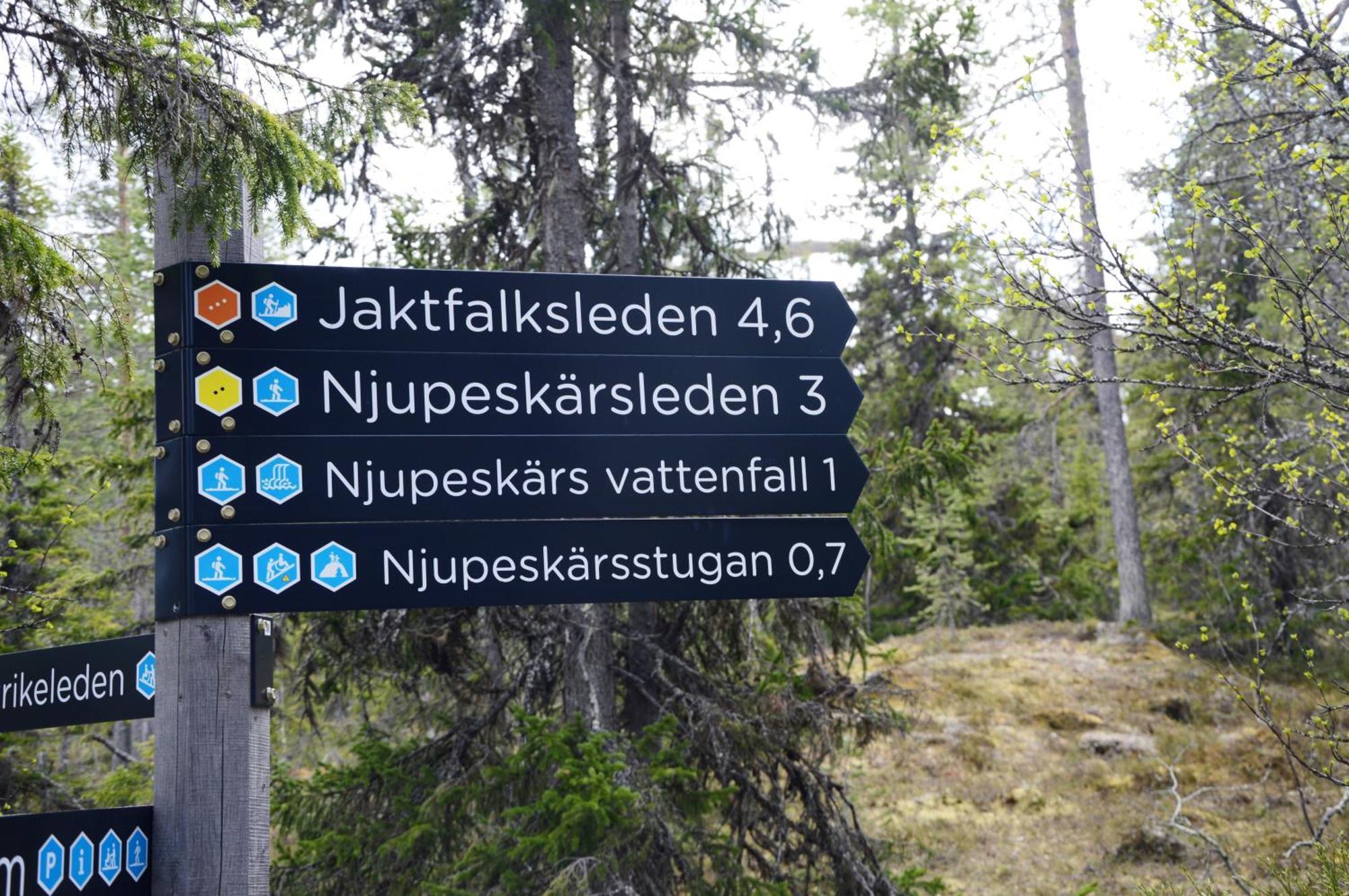 15 - Fulufjellets Nasjonalparker - Natur-, Dyre- Og Fugleopplevelser *