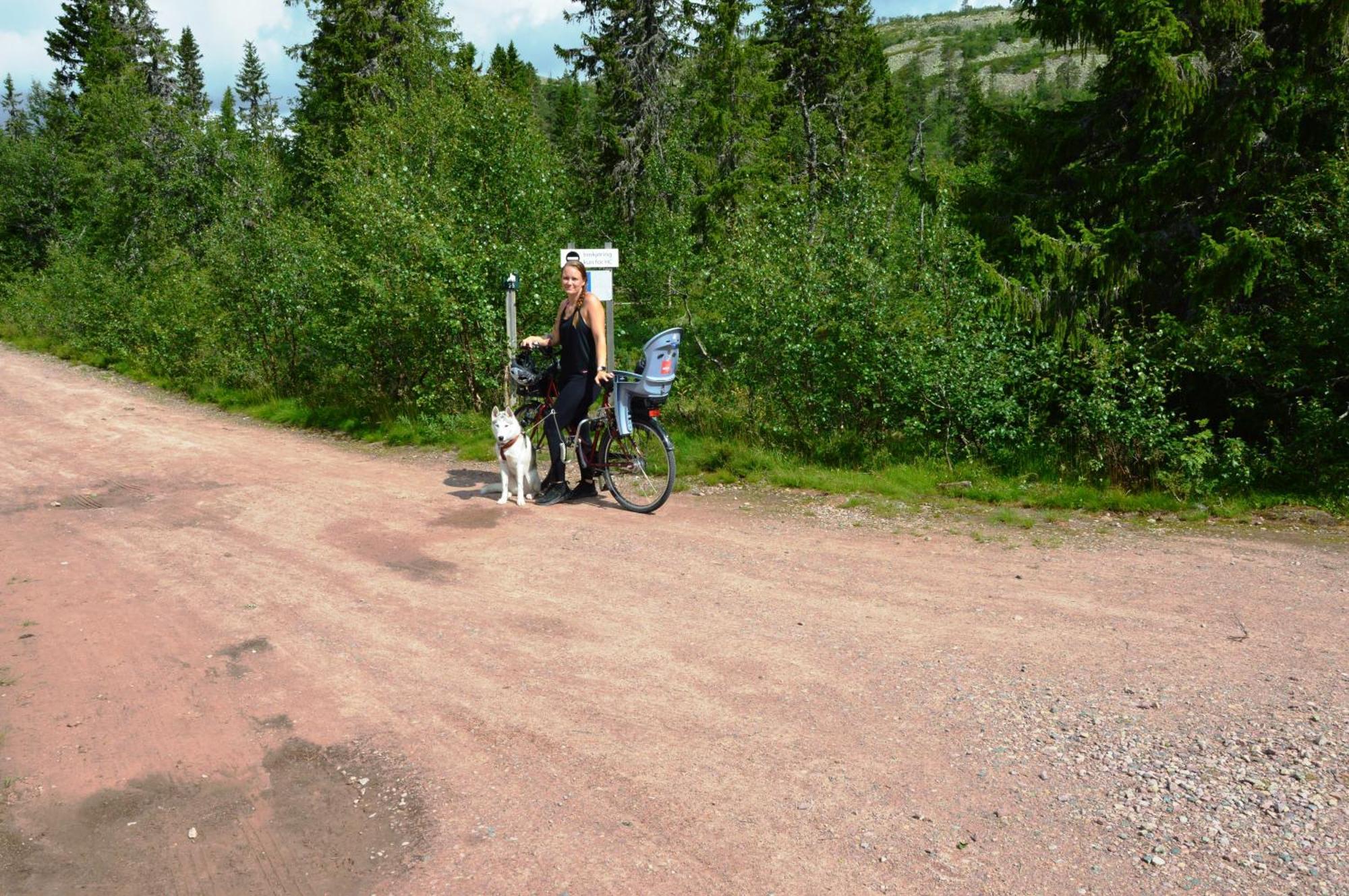 15 - Fulufjellets Nasjonalparker - Natur-, Dyre- Og Fugleopplevelser * Ljordalen