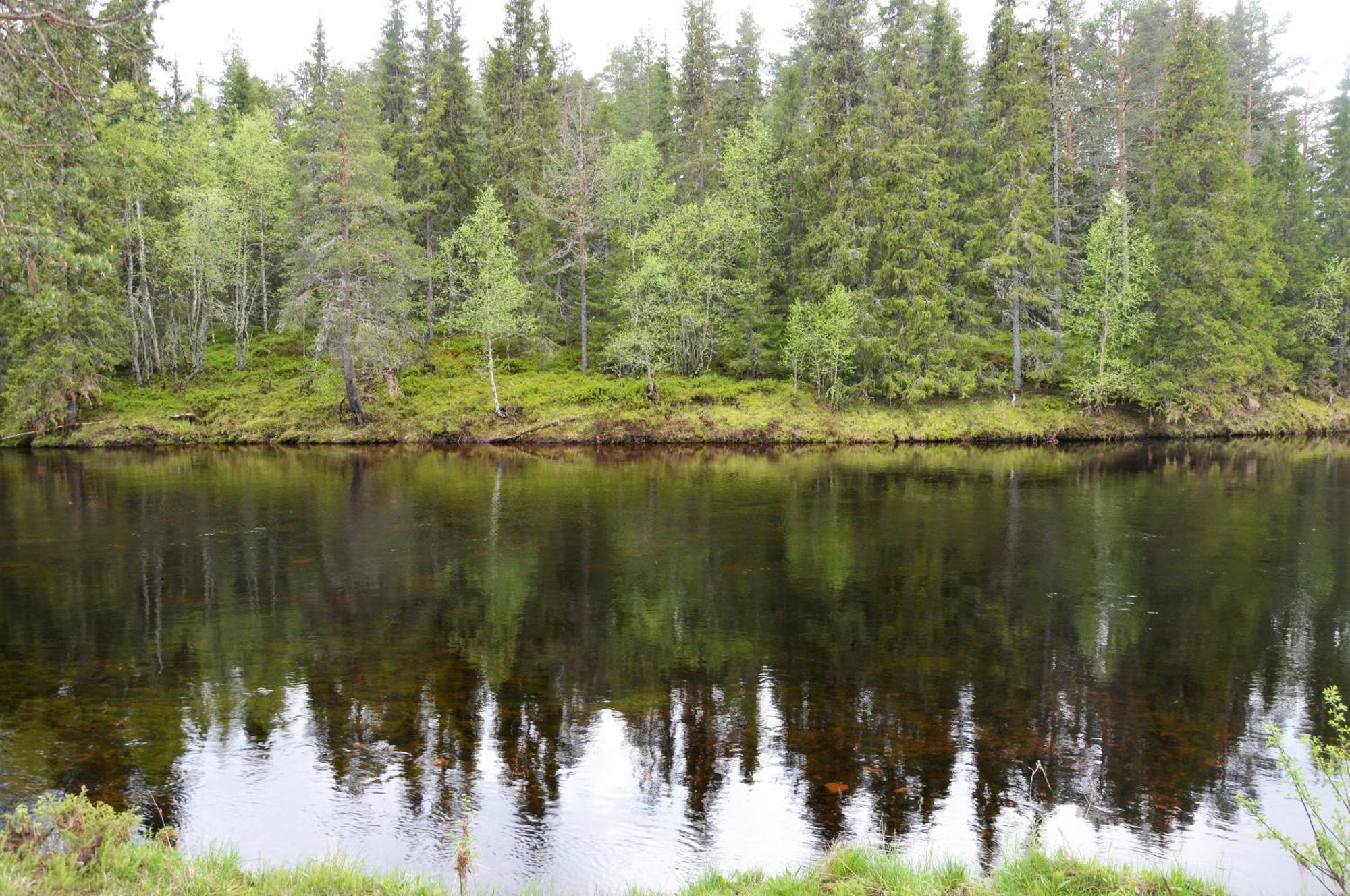 15 - Fulufjellets Nasjonalparker - Natur-, Dyre- Og Fugleopplevelser