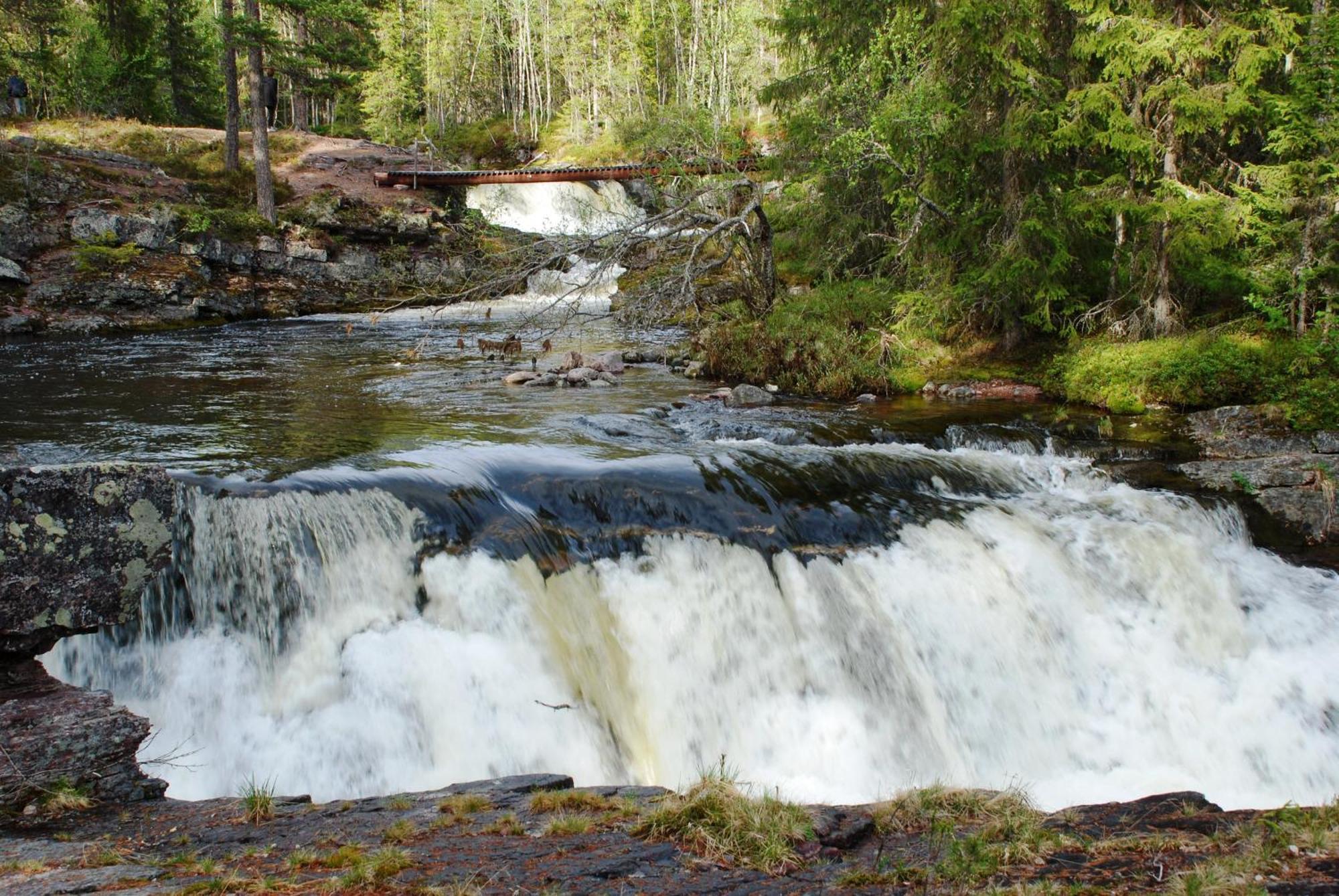 15 - Fulufjellets Nasjonalparker - Natur-, Dyre- Og Fugleopplevelser