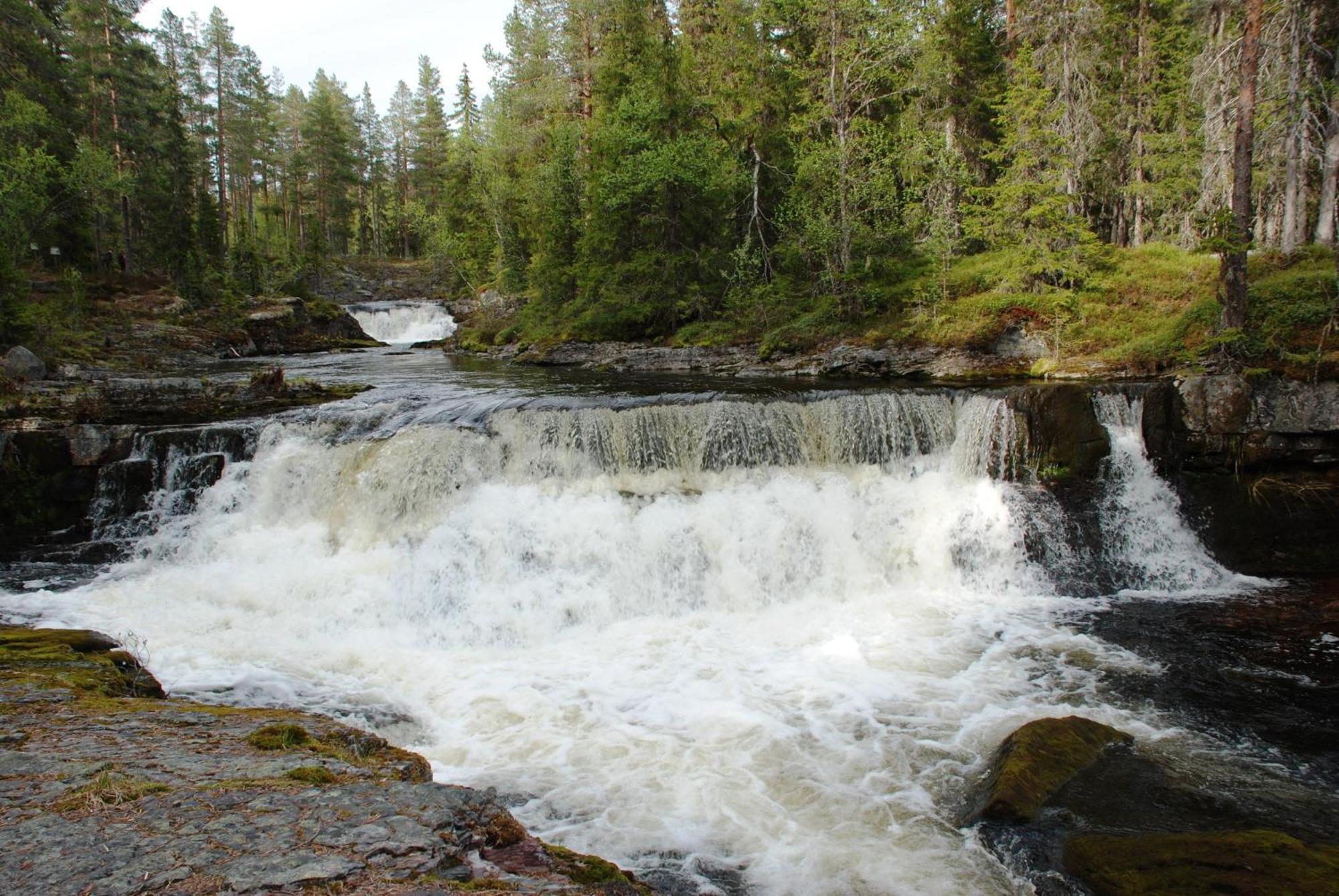 15 - Fulufjellets Nasjonalparker - Natur-, Dyre- Og Fugleopplevelser Appartement Ljordalen