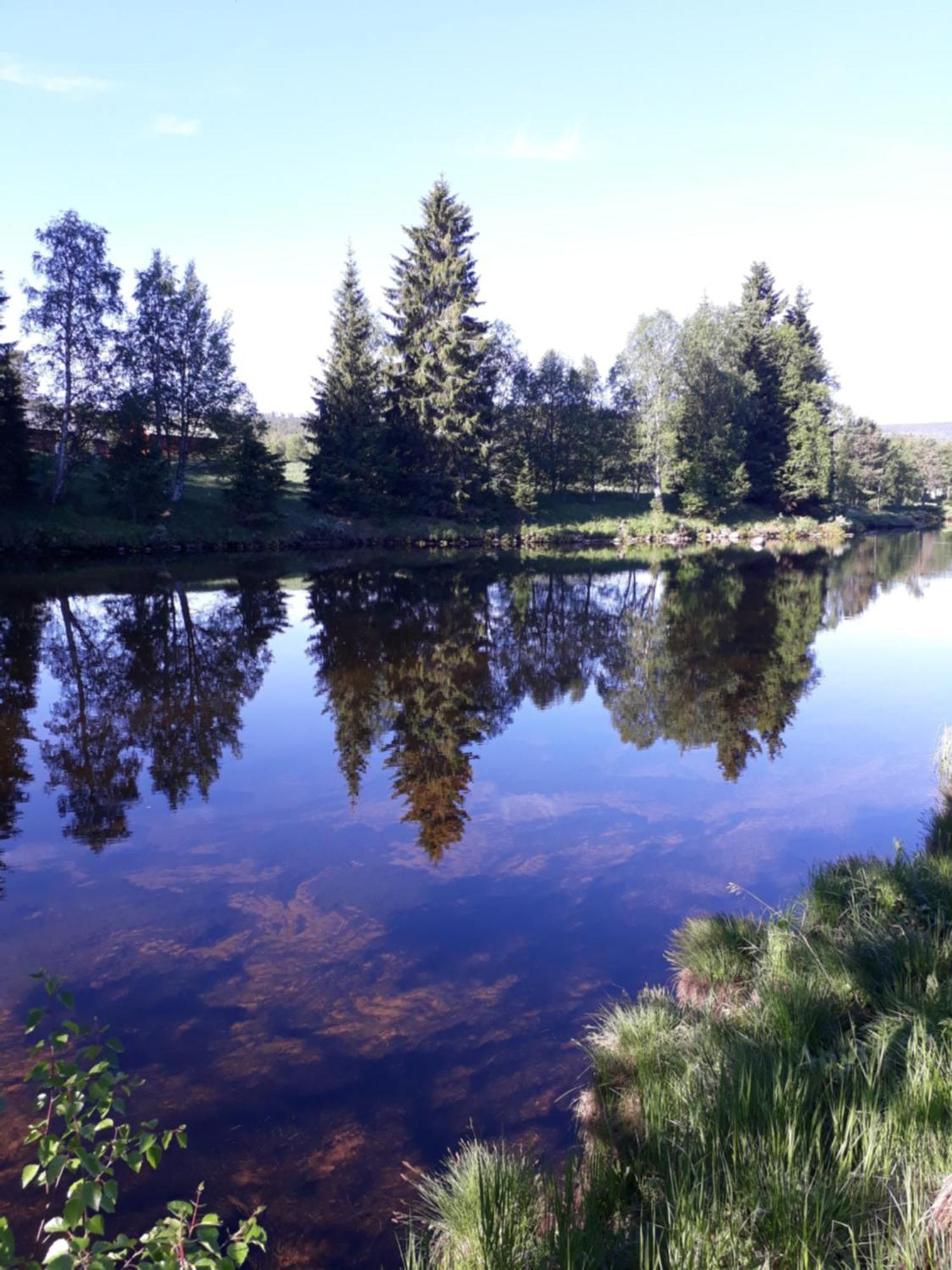 Appartement 15 - Fulufjellets Nasjonalparker - Natur-, Dyre- Og Fugleopplevelser Ljordalen